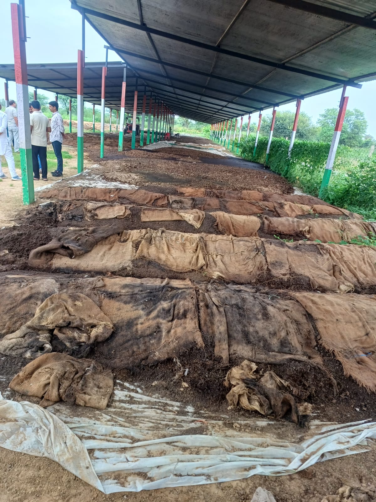 Vermicompost - Organic Fertilizer / Manure - Image 6