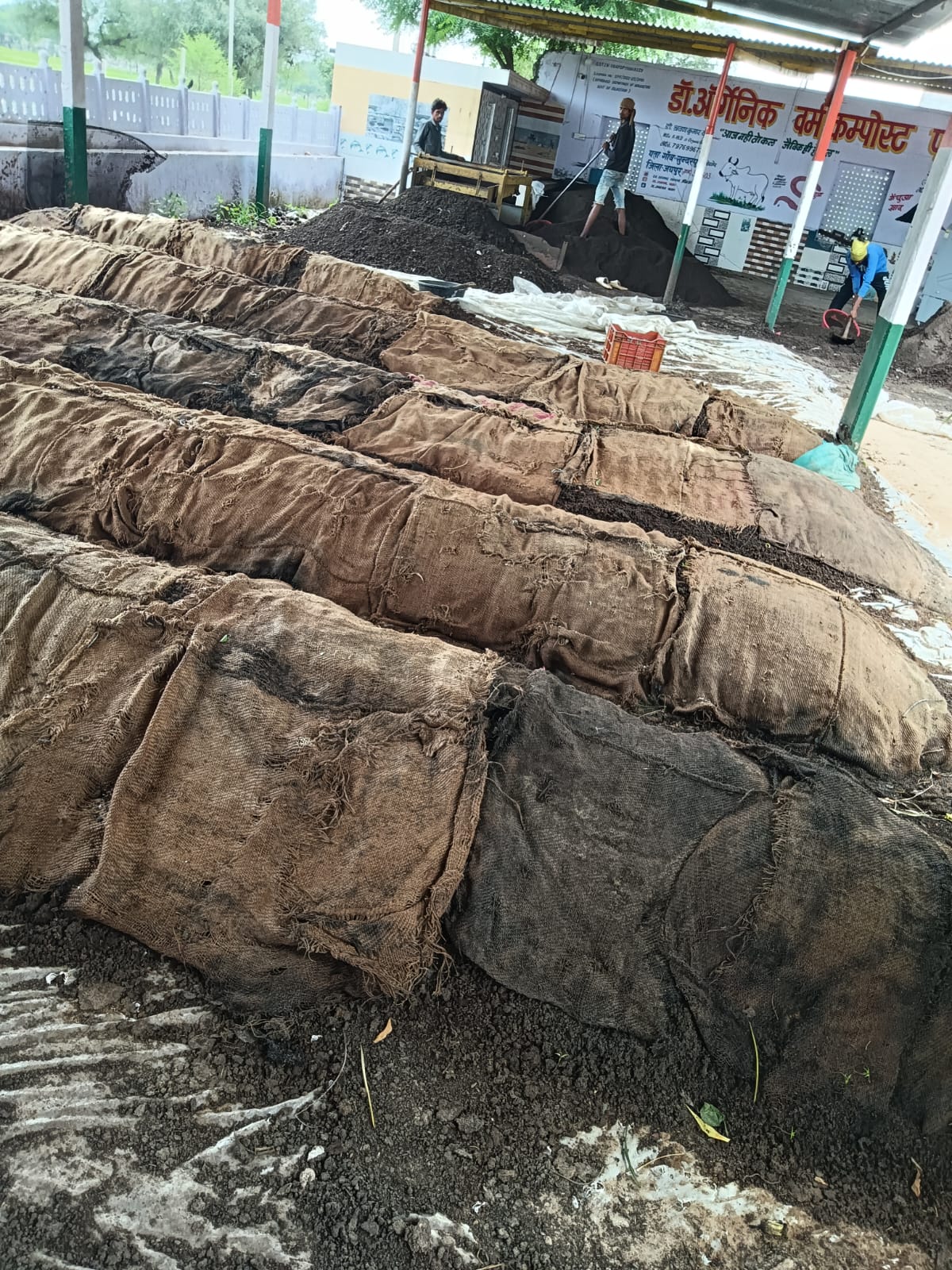 Vermicompost - Organic Fertilizer / Manure - Image 5