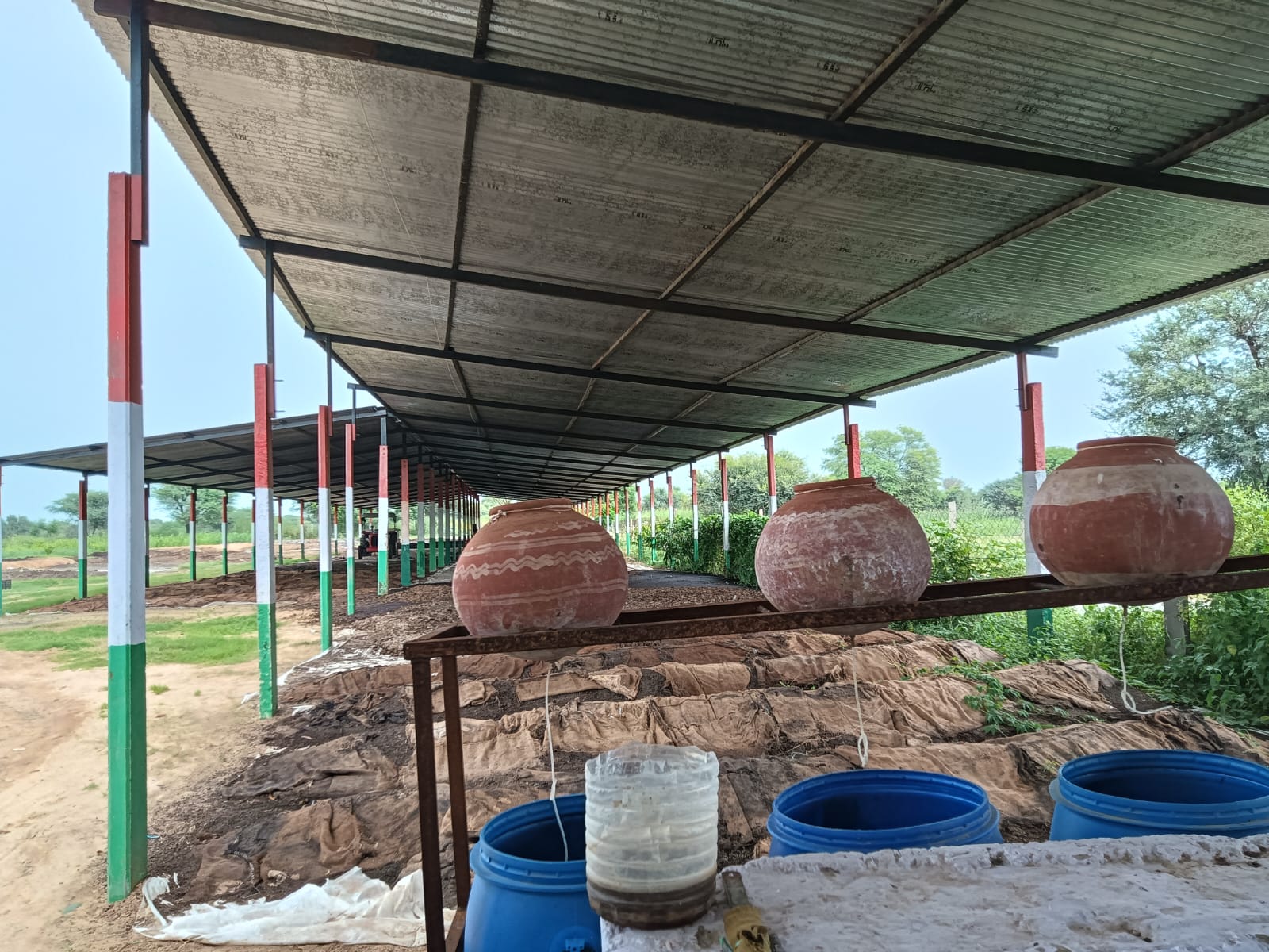 Vermicompost - Organic Fertilizer / Manure - Image 4