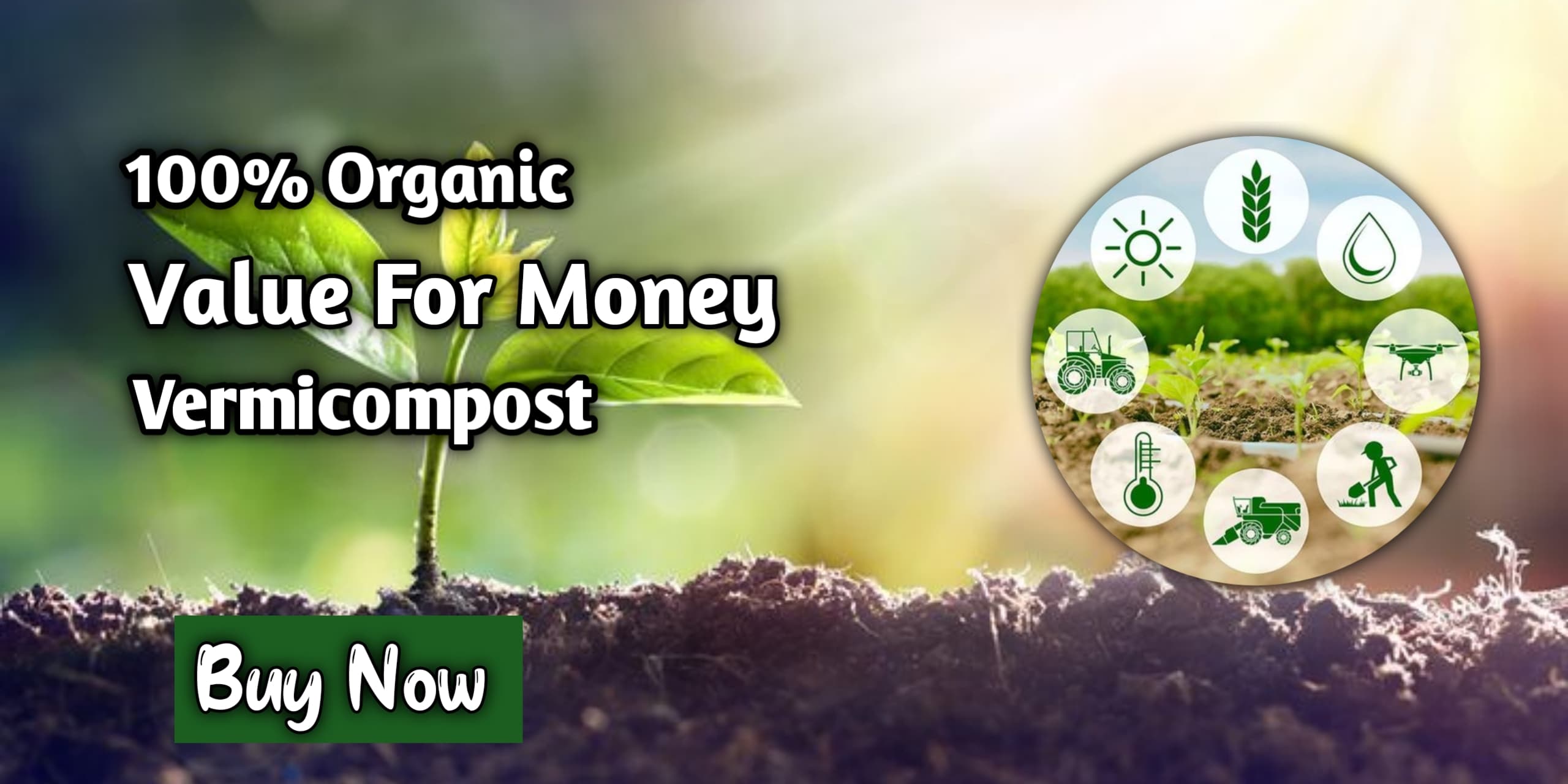 WhatsApp Image 2025-11-18 at 16.54.49