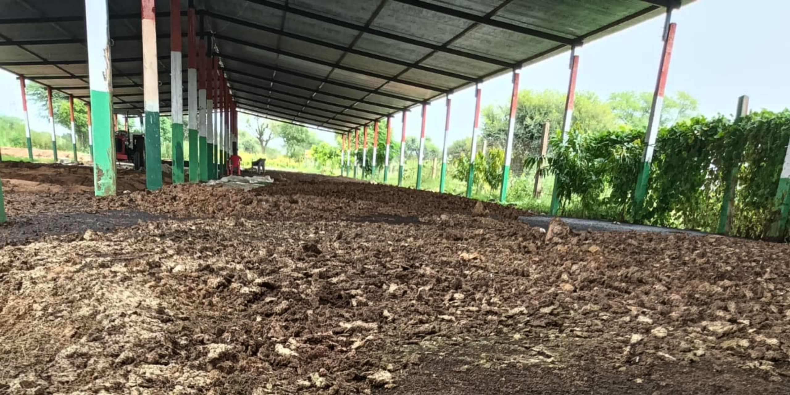 WhatsApp Image 2025-11-18 at 16.54.53