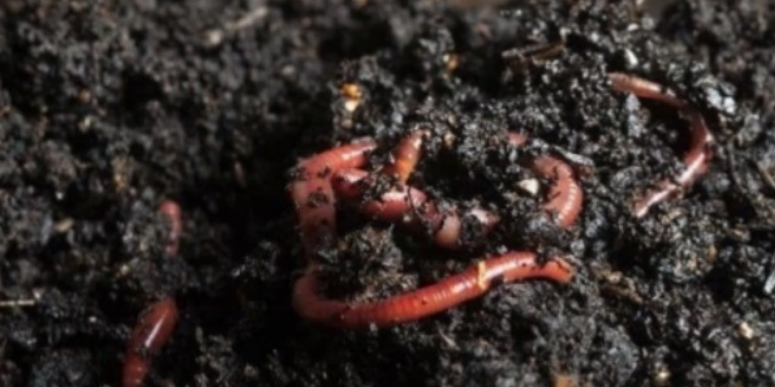 WhatsApp Image 2025-11-18 at 16.54.54