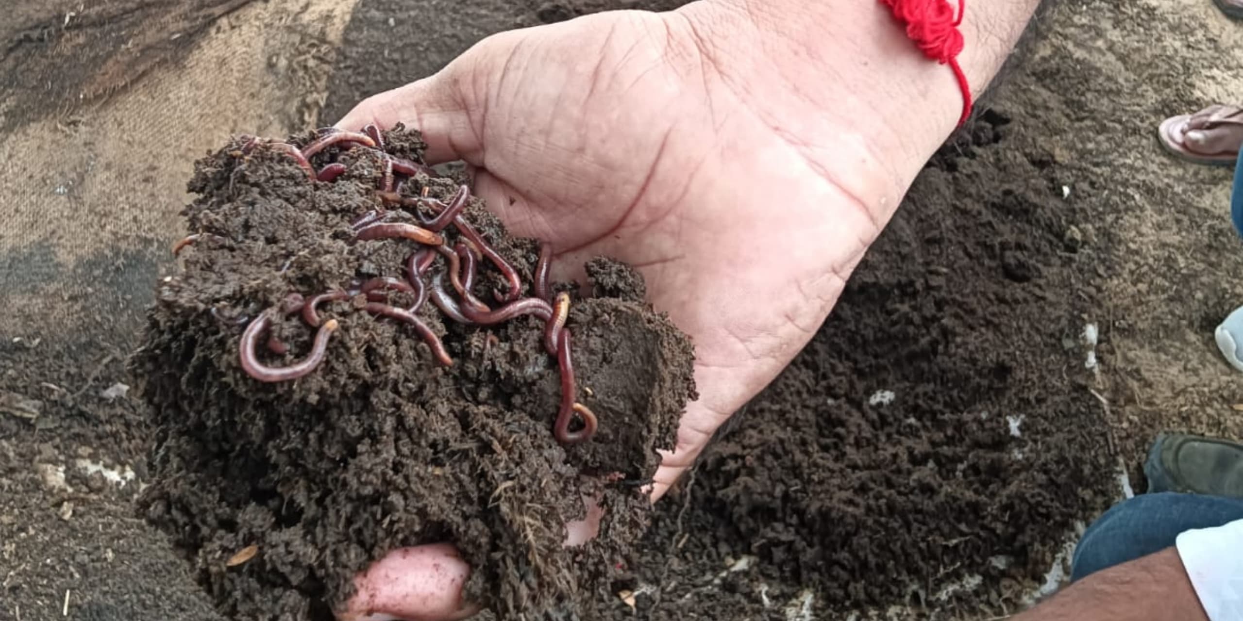 WhatsApp Image 2025-11-18 at 16.54.56