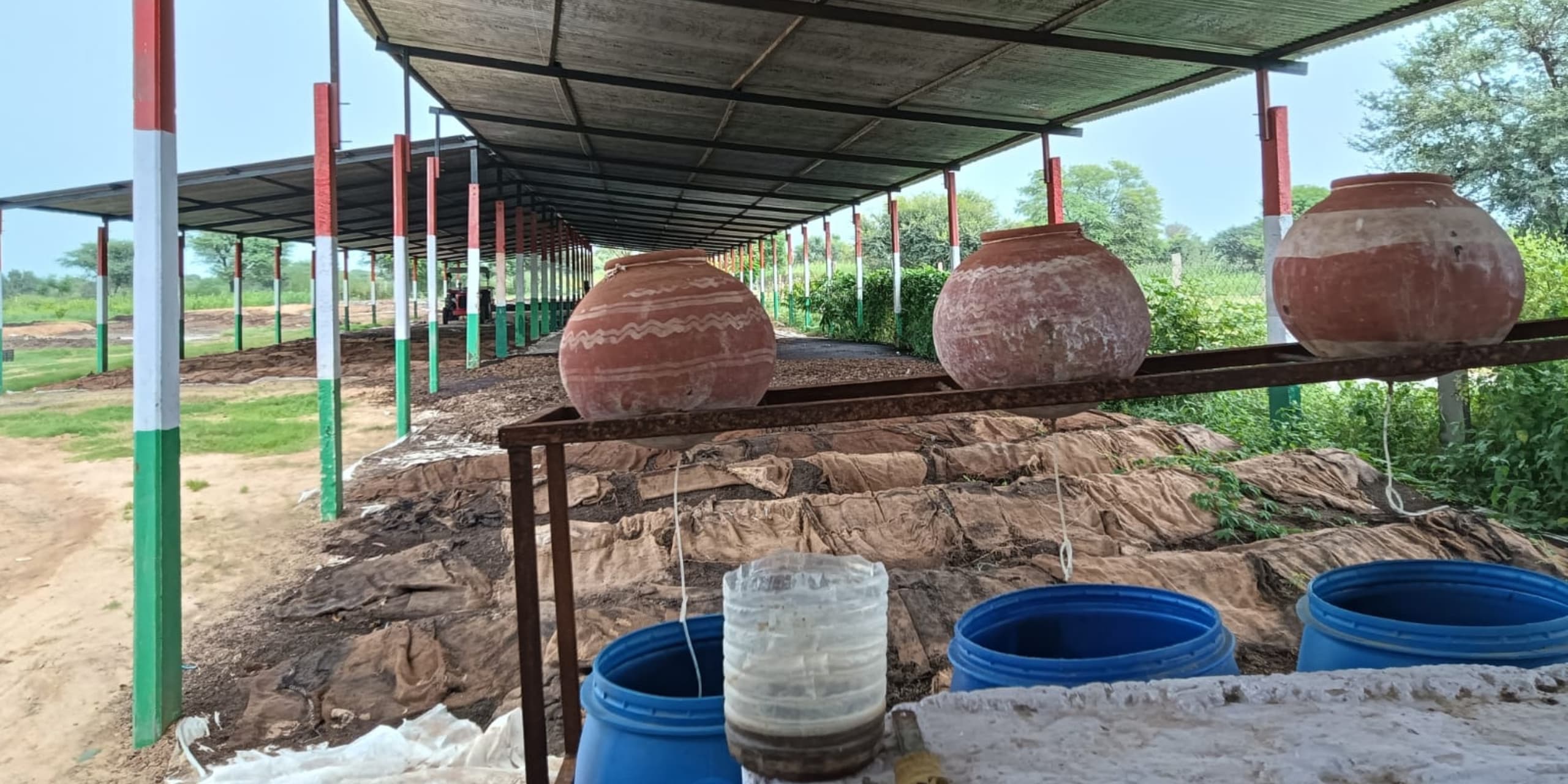 WhatsApp Image 2025-11-18 at 16.54.59