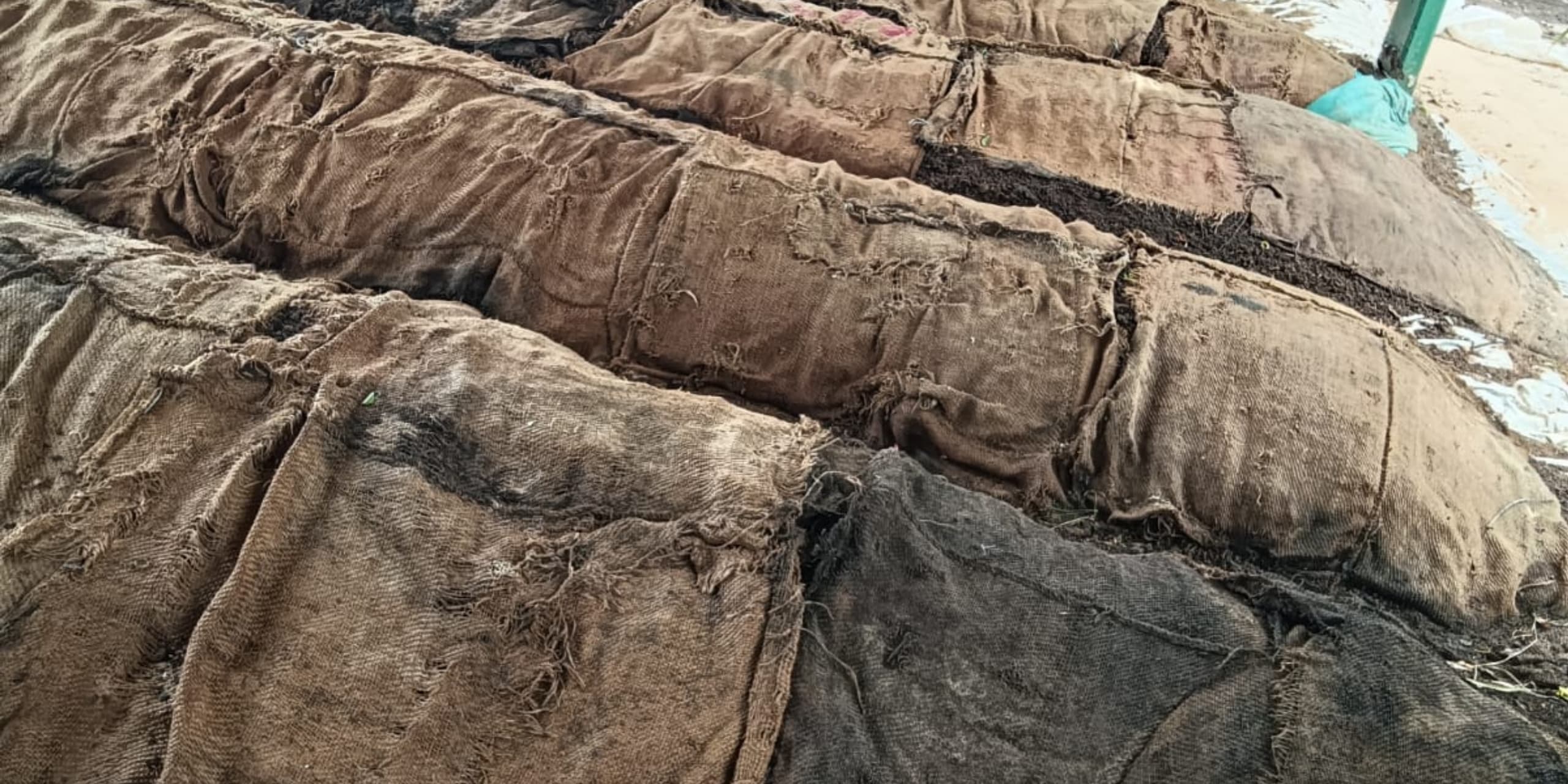 WhatsApp Image 2025-11-18 at 16.55.00