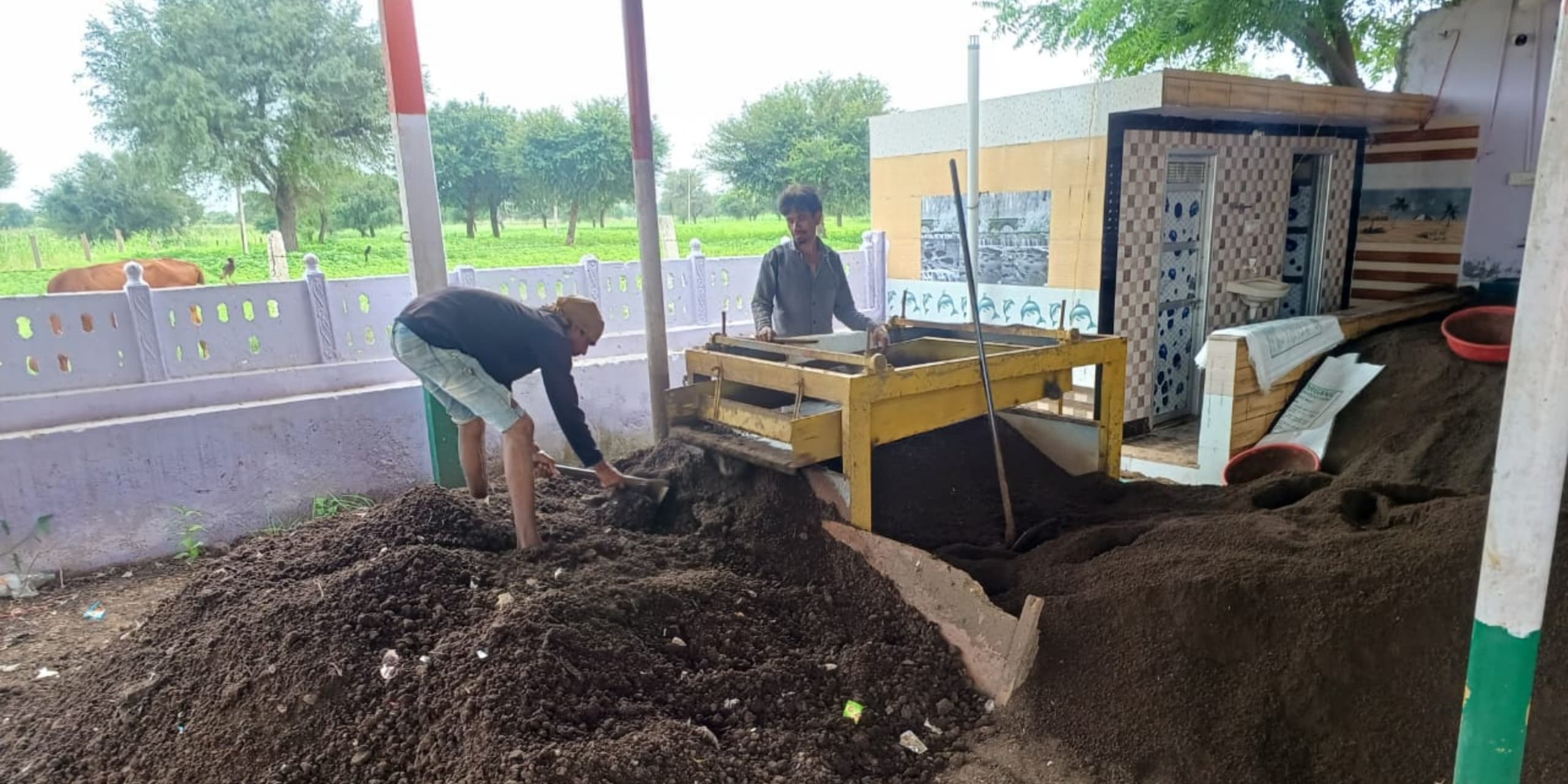 WhatsApp Image 2025-11-18 at 16.55.01