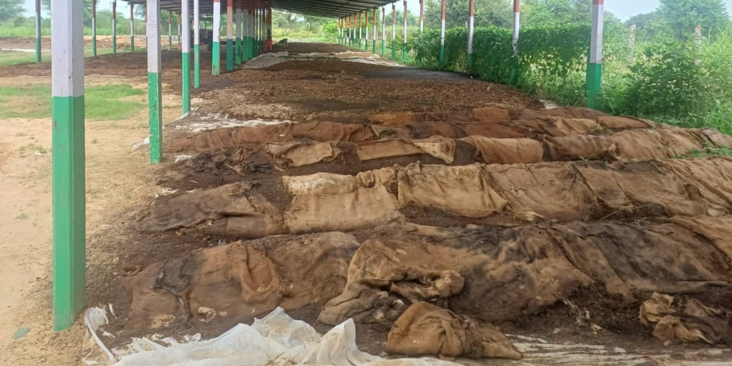 WhatsApp Image 2025-11-18 at 16.55.02