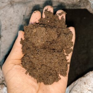 Vermicompost  - Organic Fertilizer / Manure