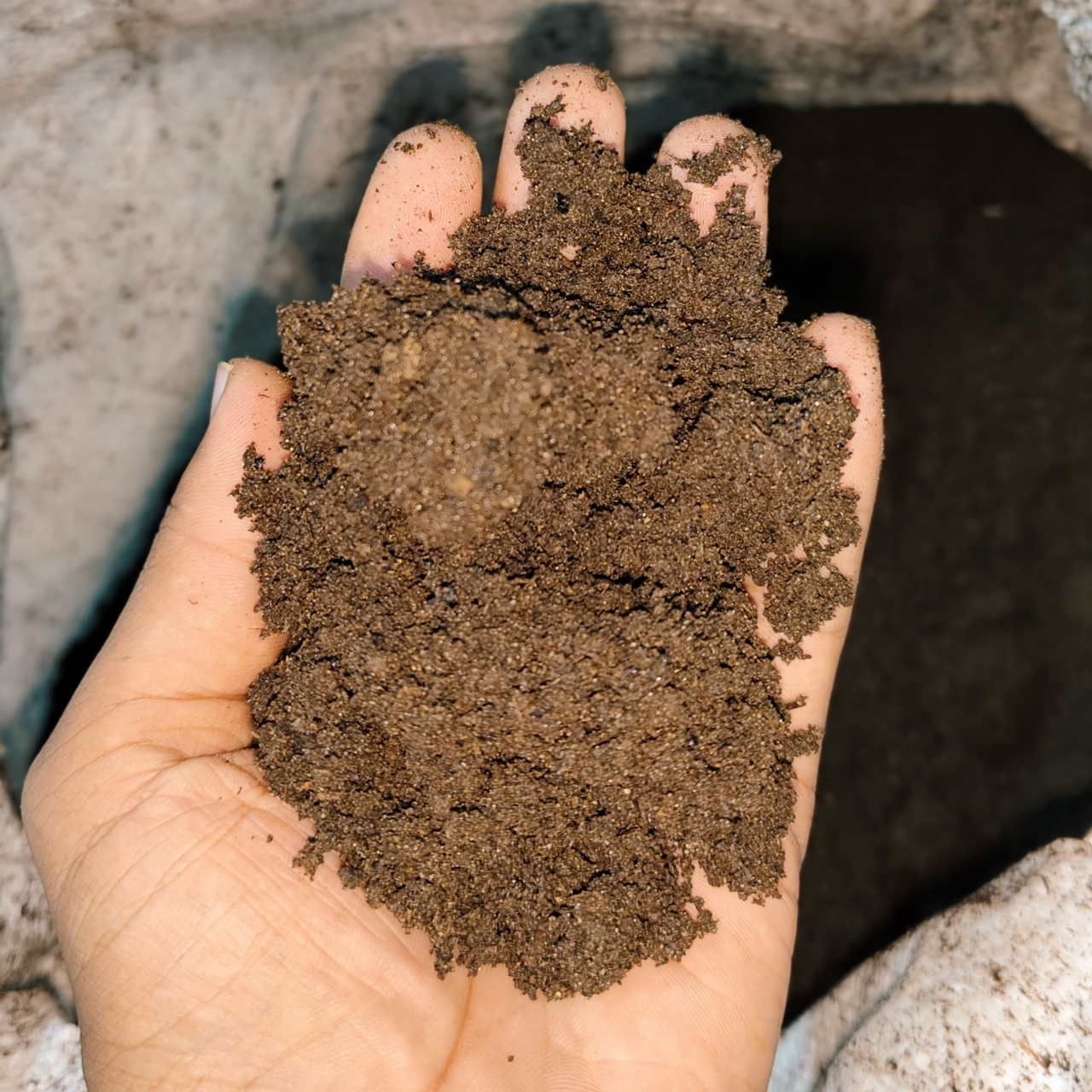Vermicompost - Organic Fertilizer / Manure